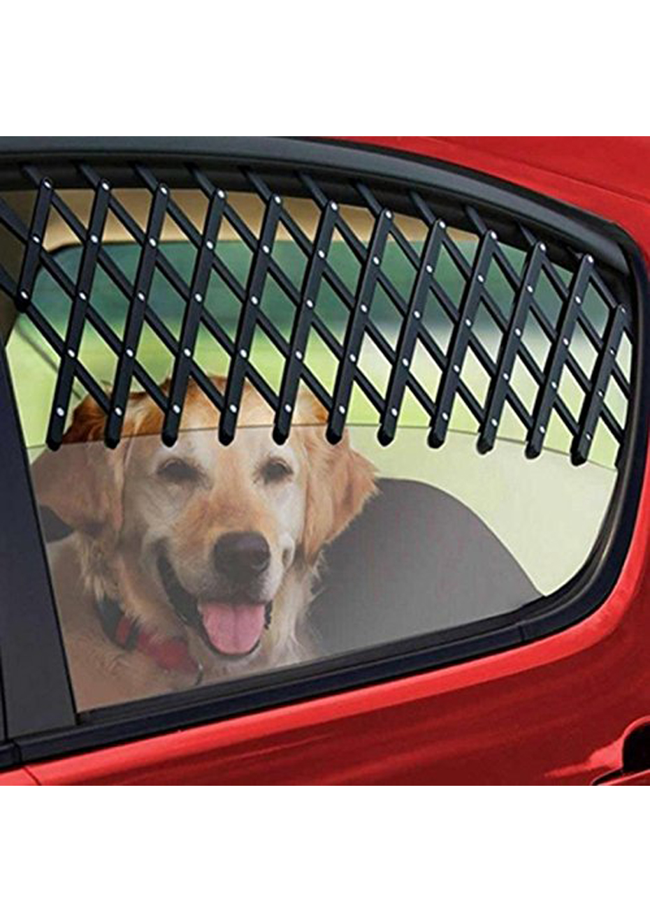 Dog window grille clearance for cars